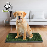 TAPETE ENTRENADOR LAVABLE