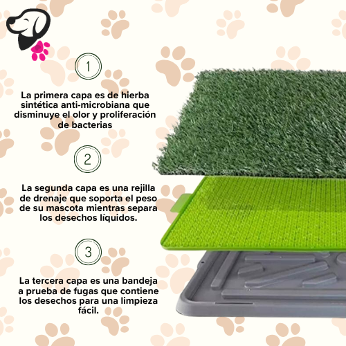 TAPETE ENTRENADOR LAVABLE