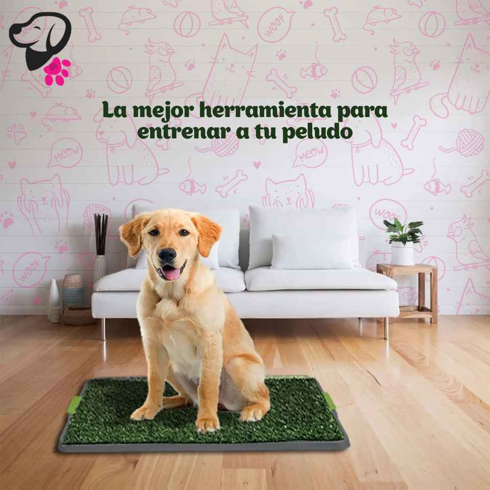 TAPETE ENTRENADOR💦🐕