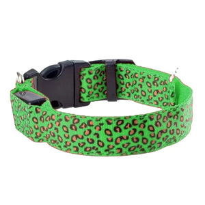COLLAR LED
