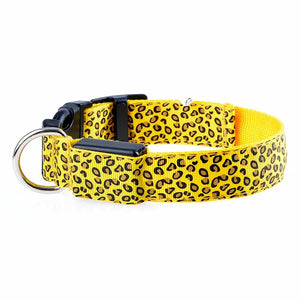 COLLAR LED